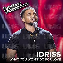 What You Won't Do For Love - Idriss Ly