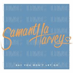 Say You Won't Let Go - Samantha Harvey