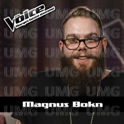 The Outsiders - Magnus Bokn