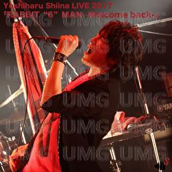 Chit - Yoshiharu Shiina