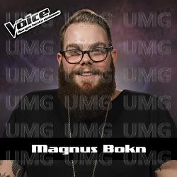 Cake By The Ocean - Magnus Bokn