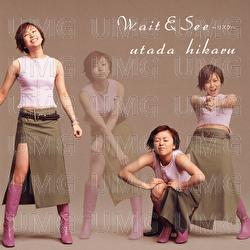 Wait & See -Risk- - Utada Hikaru