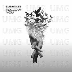 Follow You - Luminize