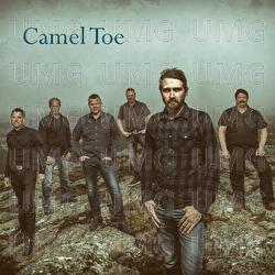 Camel Toe - Harlekin
