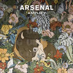 Amplify - Arsenal