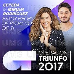 Estoy Hecho De Pedacitos De Ti - Cepeda, Miriam Rodríguez