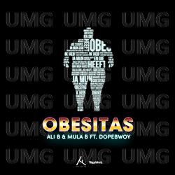 Obesitas