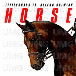 Horse - EFFIEGOHARD, D&eacute;fano Holwijn