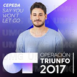 Say You Won't Let Go - Cepeda