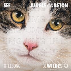 Jungle Van Beton - Sef