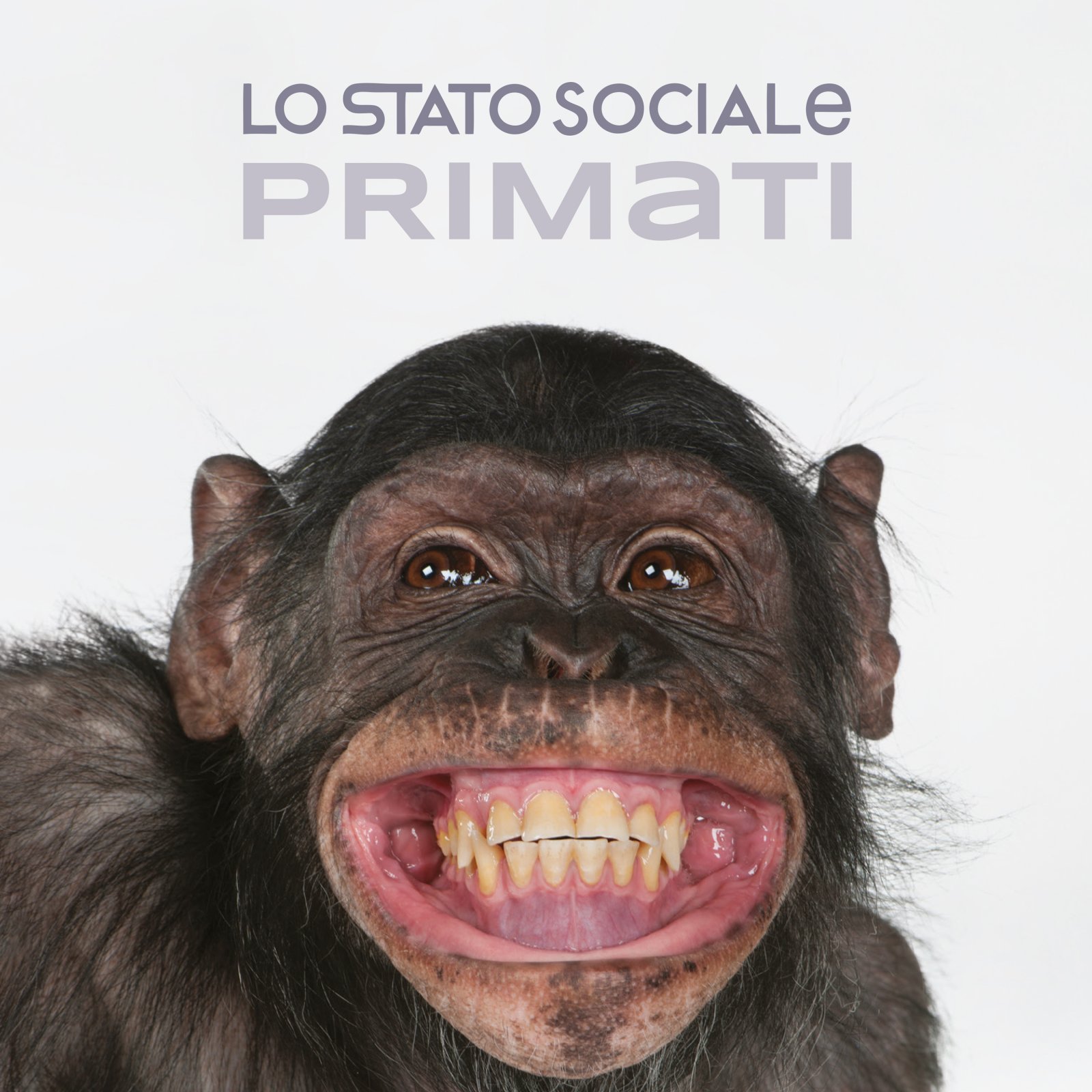 Primati - Lo Stato Sociale