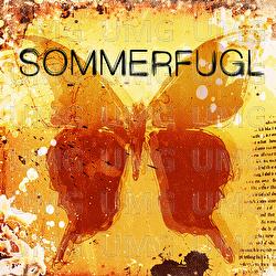Sommerfugl - Tor Endresen