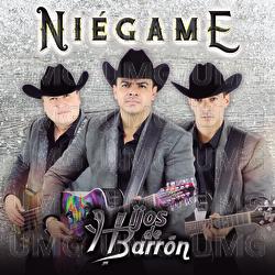 Ni&eacute;game - Hijos De Barr&oacute;n
