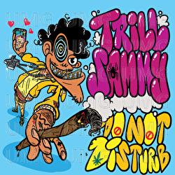 Do Not Disturb - Trill Sammy