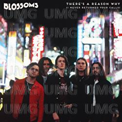 There's A Reason Why (I Never Returned Your Calls) - Blossoms