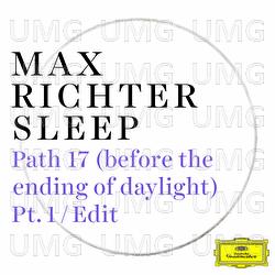 Path 17 (before the ending of daylight) - Max Richter
