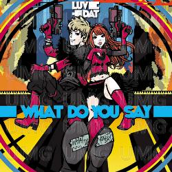 WHAT DO YOU SAY - LuvDat