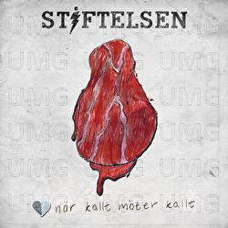N&auml;r kallt m&ouml;ter kallt - Stiftelsen