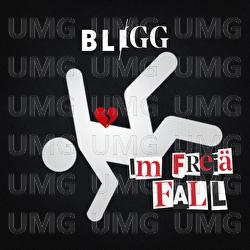 Im frei&auml; Fall - Bligg