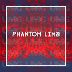 Phantom Limb - Melo Moreno