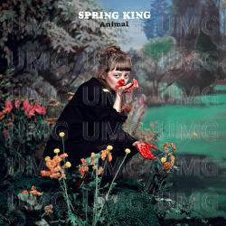 Animal - Spring King