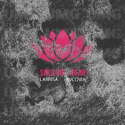 Singurul Nufar - Larrisa, Bvcovia