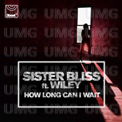How Long Can I Wait - Sister Bliss, Wiley