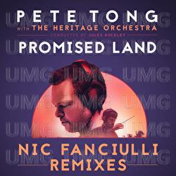 Promised Land - Pete Tong, The Heritage Orchestra, Jules Buckley