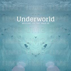 Brilliant Yes That Would Be - Underworld