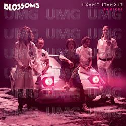 I Can't Stand It - Blossoms