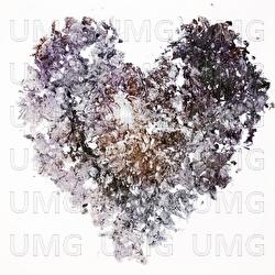 May Sixteen - Nicole