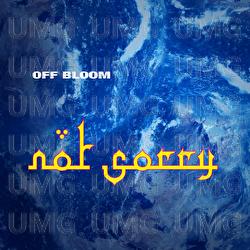 Not Sorry - Off Bloom