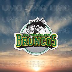 Big League (For Humboldt) - Tom Cochrane