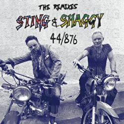 44/876 - Sting, Shaggy