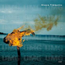 A Man About A Horse - Steve Tibbetts