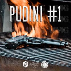 Pudini #1 - Philip