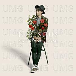 Hibiscus / Shiori - Naoto Inti Raymi