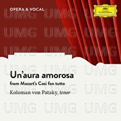 Mozart: Un'aura amorosa - Koloman Von Pataky, Orchestra