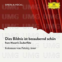 Mozart: Dies Bildnis ist bezaubernd schön - Koloman Von Pataky, Orchester Der Staatsoper Berlin
