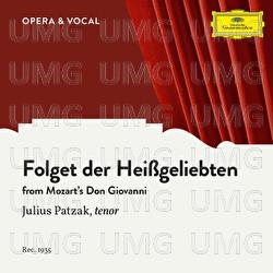 Mozart: Don Giovanni, K.527, Folget der Heißgeliebten - Julius Patzak, Orchestra
