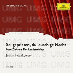 Ziehrer: Sei gepriesen, du lauschige Nacht - Julius Patzak, Staatskapelle Berlin