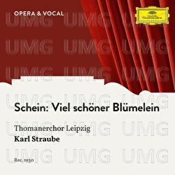 Schein: Viel schöner Blümelein - Thomanerchor Leipzig, Karl Straube