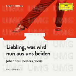 Liebling, was wird nun aus uns beiden - Johannes Heesters, Orchestra
