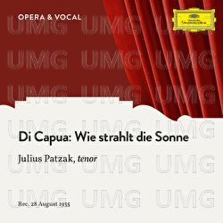 Di Capua: Wie strahlt die Sonne - Julius Patzak, Mitglieder Der Staatskapelle Berlin, Alois Melichar