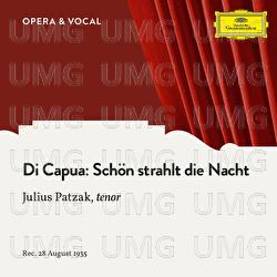 Di Capua: Schön strahlt die Nacht - Julius Patzak, Mitglieder Der Staatskapelle Berlin, Alois Melichar