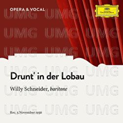 Strecker: Drunt' in der Lobau, Op. 290 - Willy Schneider, Orchestra, Walter Schutze