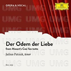 Mozart: Così fan tutte: Der Odem der Liebe - Julius Patzak, Various Artists