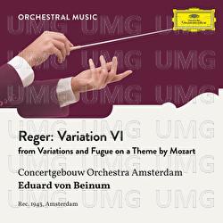 Reger: Variations and Fugue on a Theme by Mozart, Op. 132: Variation VI