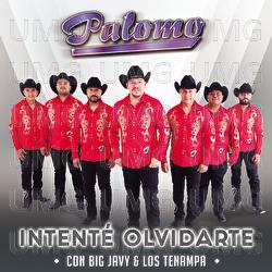 Intenté Olvidarte - Palomo, Big Javy & Los Tenampa