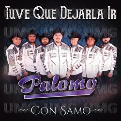 Tuve Que Dejarla Ir - Palomo, Samo